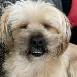 Meet your Posher, Nick